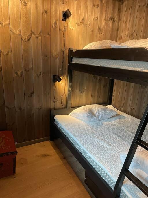 Ski In/Out, Amazing Views, 3 Bedrooms Noresund Екстер'єр фото